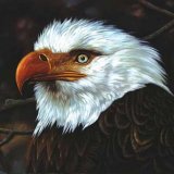 Mogwai - The Hawk Is Howling [2008]