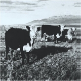 Kozelek, Mark - The Finally LP