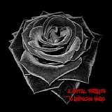 Various artists - A Tribute To Depeche Mode: Enjoy The Sounds