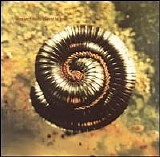 Nine Inch Nails - Closer to God