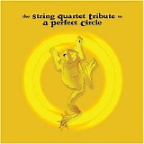 A Perfect Circle - String Tribute to A Perfect Circle