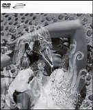 Björk - Vespertine