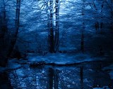 Winter Children - ... Of Mountain Dark ...