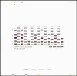 Apoptygma Berzerk - Harmonizer
