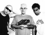 Pepper - Surf Roots