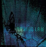 Brainclaw - InsektAngel