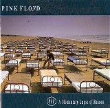 Pink Floyd - A Momentary Lapse Of Reason