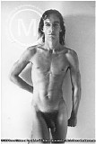 Various artists - Nude & Rude: The Best Of Iggy Pop