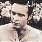 Adam & The Ants - Wonderful