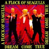 A Flock Of Seagulls - Dream Come True