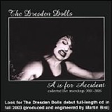 The Dresden Dolls - A Is For Accident [Live]