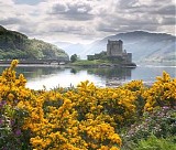 <Unknown Artist> - Scotland
