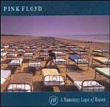 Pink Floyd - Momentary Lapse of Reason