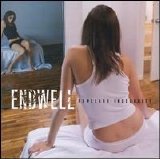 Endwell - Homeland Insecurity