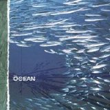 The Ocean - Fluxion