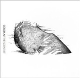 Coldplay - The Scientist (single)