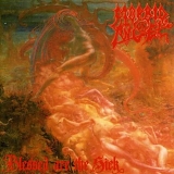 Morbid Angel - Blessed Are the Sick