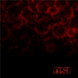 O.S.I. - Blood