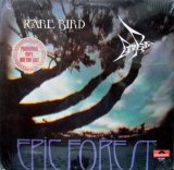 Rare Bird72 - Epic Forest