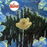 Pulsar (France)76 - The Strands Of The Future