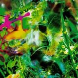 The Young Gods - Second Nature