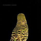 Andrew Bird - Armchair Apocrypha