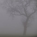 jesu - Silver