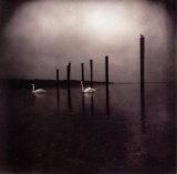 Om - Conference of the Birds