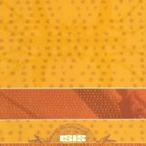 Isis - Celestial