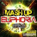 Various artists - Mash Up Euphoria (3cd)