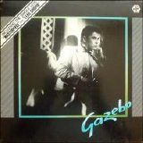 Gazebo - Gazebo