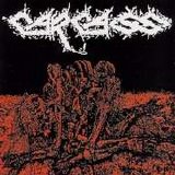 CARCASS - Flesh Ripping Symphony