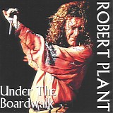 Robert Plant - Sheffield