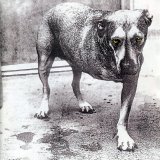 Alice In Chains - Alice In Chains