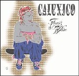 Calexico - Feast of Wire