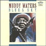 Muddy Waters - Blues Sky