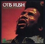 Otis Rush - Cold Day In Hell