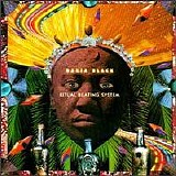 Bahia Black - Ritual Beating System