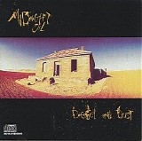 Midnight Oil - Diesel and Dust