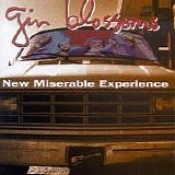 Gin Blossoms - New Miserable Experience