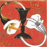 Toad The Wet Sprocket - Dulcinea