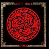 Gov't Mule - Dose