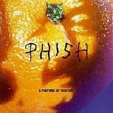 Phish - A Picture Of Nectar