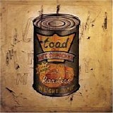 Toad The Wet Sprocket - In Light Syrup