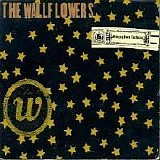 The Wallflowers - Bringing Down The Horse