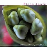 Fiona Apple - Extraordinary Machine