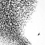 Wilco - Sky Blue Sky
