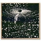 Neil Young - Mirrorball