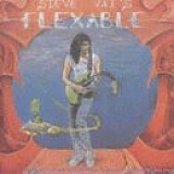 Steve Vai - Flex-Able