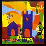Spacious Mind - Cosmic Minds at Play